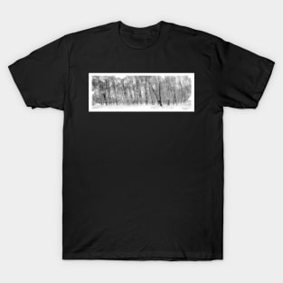 Drottningholm Castle Park T-Shirt